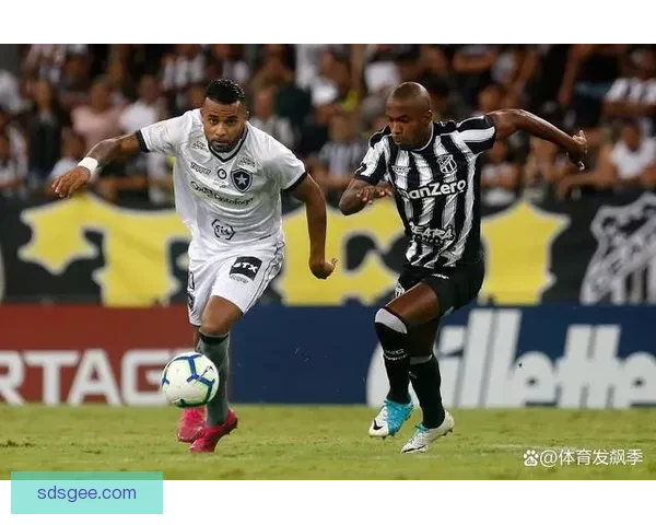 南非对阵佛得角群岛非洲赛场强强对话前瞻解析焦点战术与走势观察